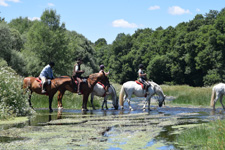 Spain-Central Spain-Transhumance Trails in Extremadura